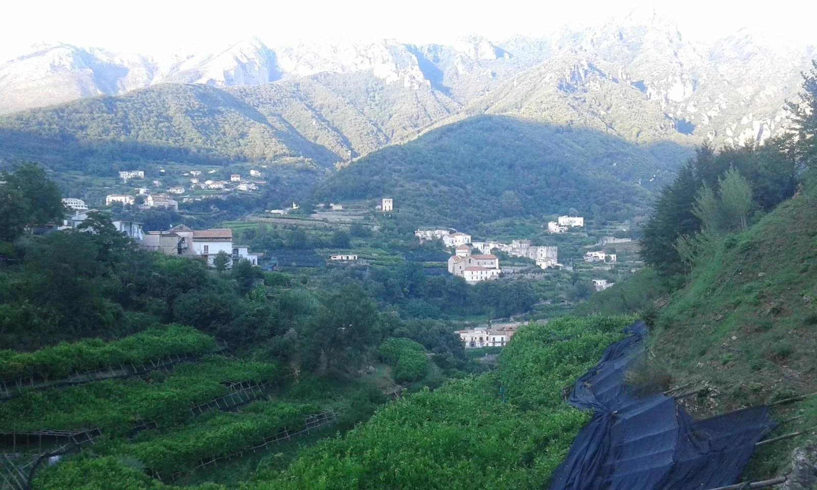 I terrazzamenti della valle, Villa Bianca Tramonti