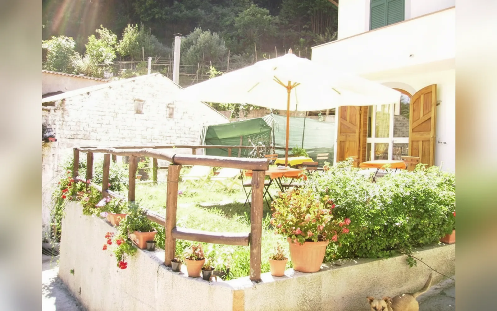 Esterni di Villa Bianca Tramonti, Tramonti (Salerno) (Campania) (foto 40)