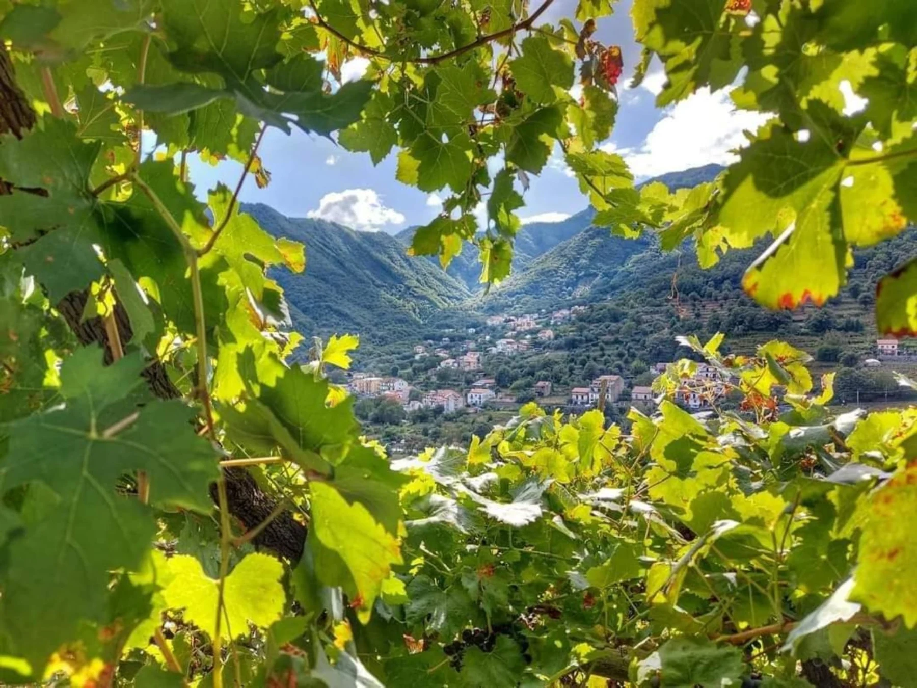 Escursione ai monti di Tramonti