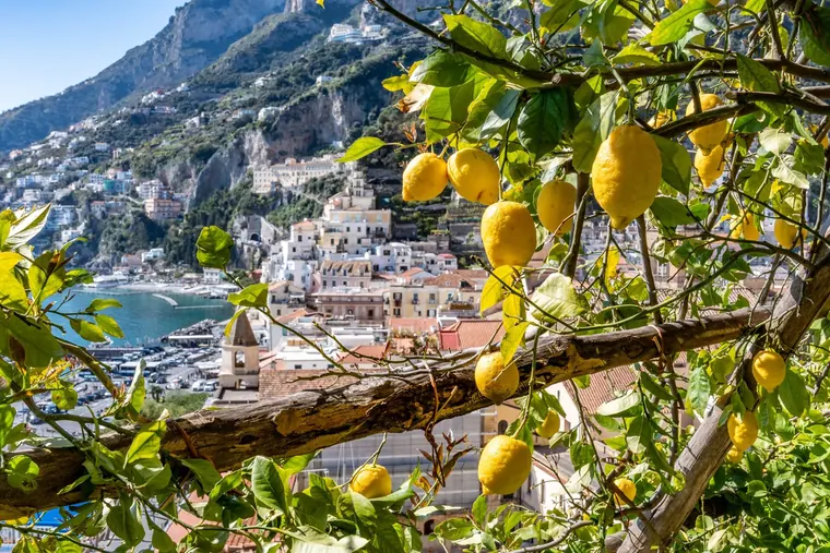 Amalfi vista dai limoneti sopra il paese