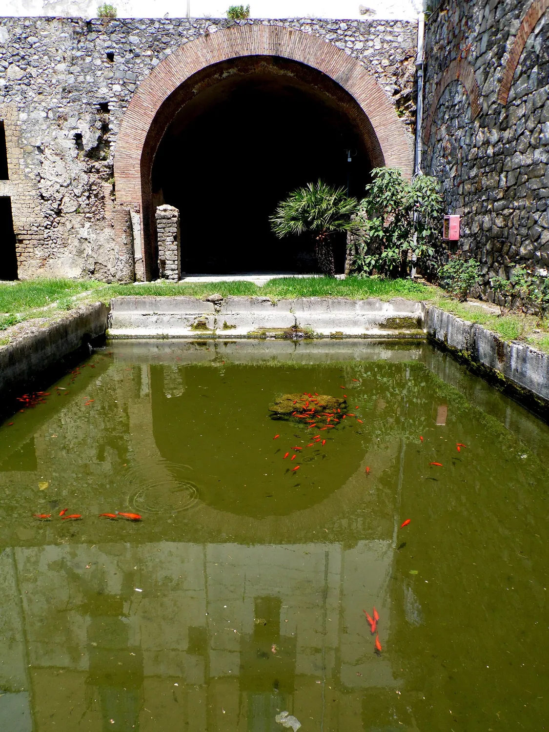 La Villa Marittima Romana di Minori, con la vasca del viridarium